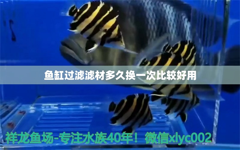 魚缸過濾濾材多久換一次比較好用