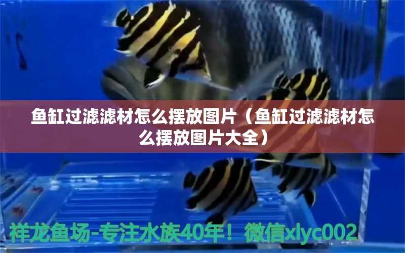 魚缸過濾濾材怎么擺放圖片（魚缸過濾濾材怎么擺放圖片大全） 黃金眼鏡蛇雷龍魚