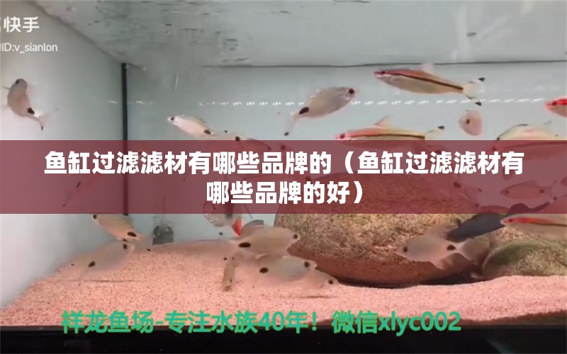 魚缸過濾濾材有哪些品牌的（魚缸過濾濾材有哪些品牌的好）