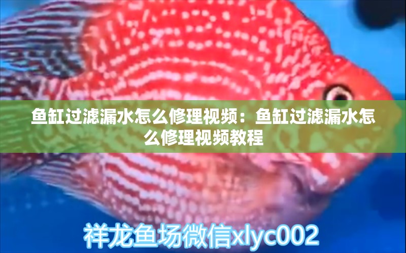 魚(yú)缸過(guò)濾漏水怎么修理視頻：魚(yú)缸過(guò)濾漏水怎么修理視頻教程