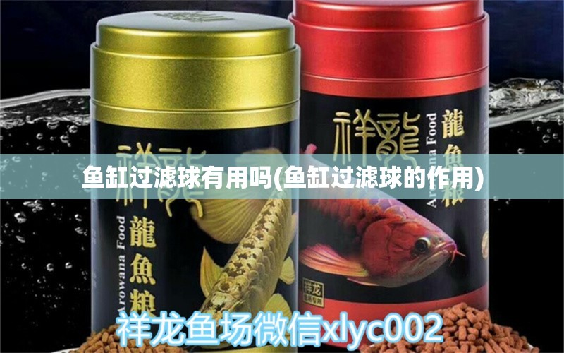 魚缸過濾球有用嗎(魚缸過濾球的作用) 養(yǎng)魚知識