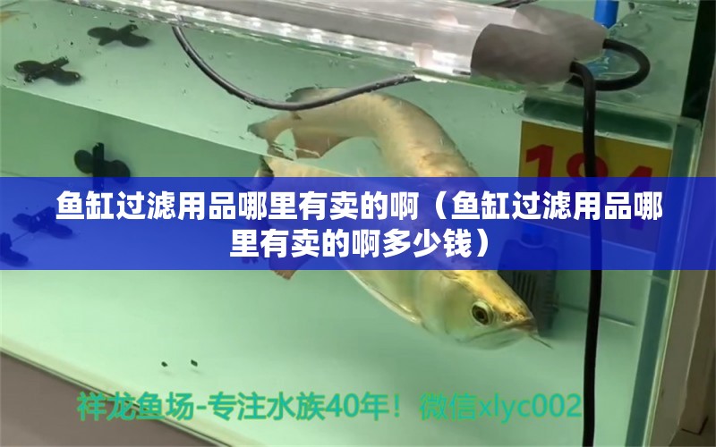 魚缸過濾用品哪里有賣的啊（魚缸過濾用品哪里有賣的啊多少錢）