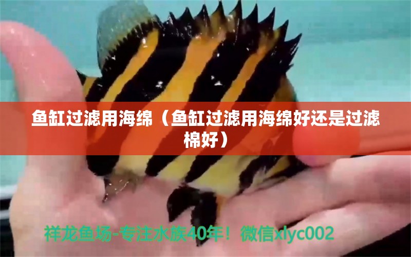 魚缸過濾用海綿（魚缸過濾用海綿好還是過濾棉好） 其他品牌魚缸