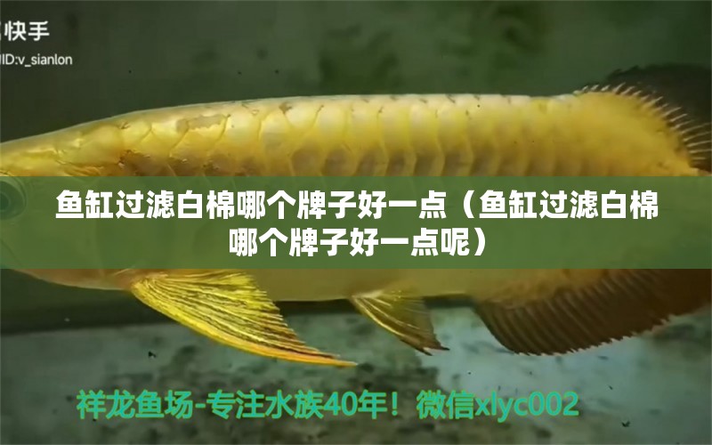 魚缸過濾白棉哪個牌子好一點（魚缸過濾白棉哪個牌子好一點呢）