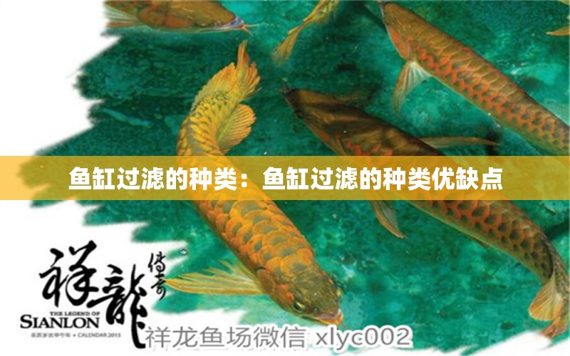 魚缸過濾的種類：魚缸過濾的種類優(yōu)缺點(diǎn) 養(yǎng)魚知識(shí) 第1張