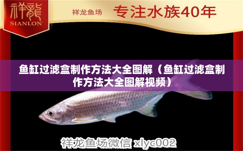 魚缸過濾盒制作方法大全圖解（魚缸過濾盒制作方法大全圖解視頻） 大白鯊魚苗