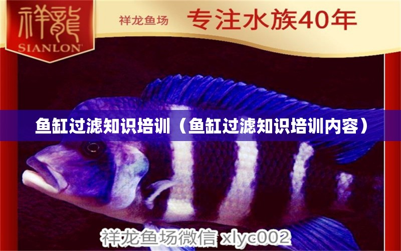 魚缸過濾知識培訓(xùn)（魚缸過濾知識培訓(xùn)內(nèi)容） 魚缸風(fēng)水