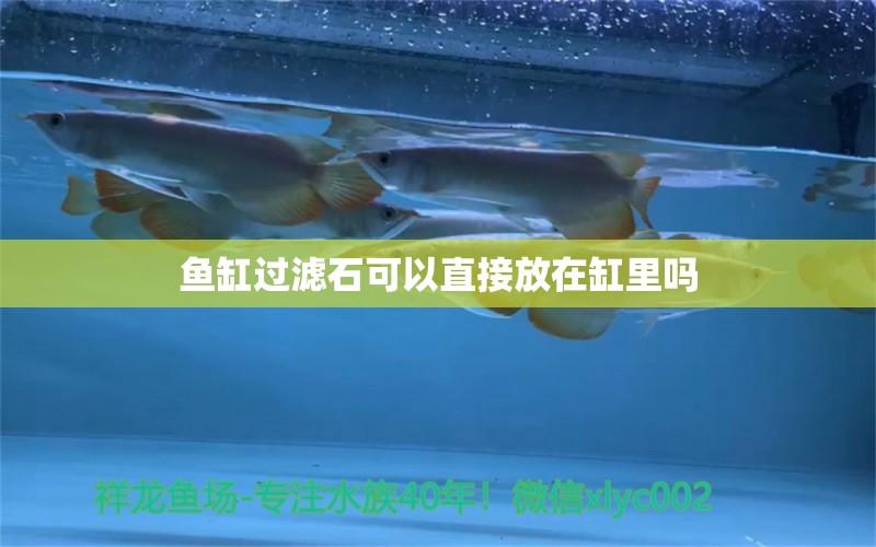 魚(yú)缸過(guò)濾石可以直接放在缸里嗎