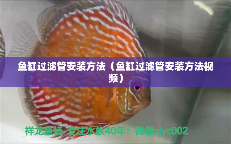 魚缸過濾管安裝方法（魚缸過濾管安裝方法視頻） 二氧化碳設(shè)備