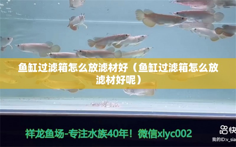 魚缸過濾箱怎么放濾材好（魚缸過濾箱怎么放濾材好呢） 量子養(yǎng)魚技術(shù)