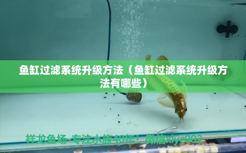 魚(yú)缸過(guò)濾系統(tǒng)升級(jí)方法（魚(yú)缸過(guò)濾系統(tǒng)升級(jí)方法有哪些）