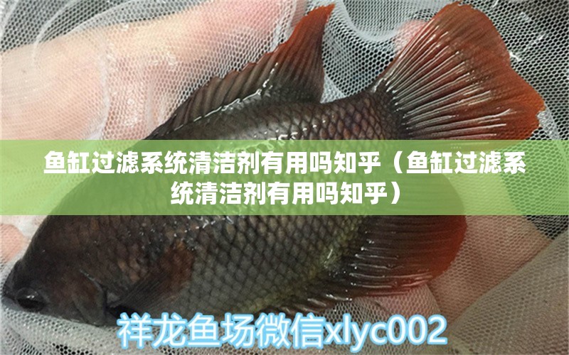 魚缸過濾系統(tǒng)清潔劑有用嗎知乎（魚缸過濾系統(tǒng)清潔劑有用嗎知乎） 其他品牌魚缸