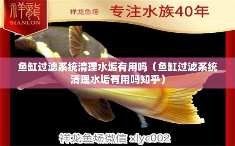 魚(yú)缸過(guò)濾系統(tǒng)清理水垢有用嗎（魚(yú)缸過(guò)濾系統(tǒng)清理水垢有用嗎知乎）