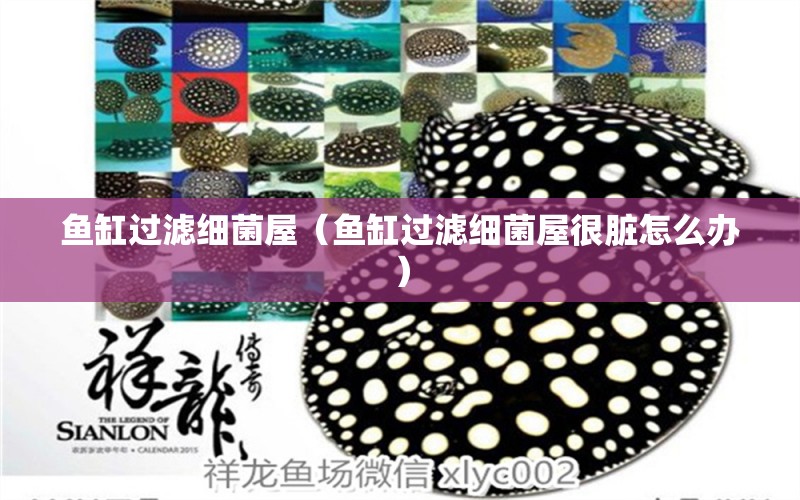 魚缸過濾細菌屋（魚缸過濾細菌屋很臟怎么辦） 其他品牌魚缸