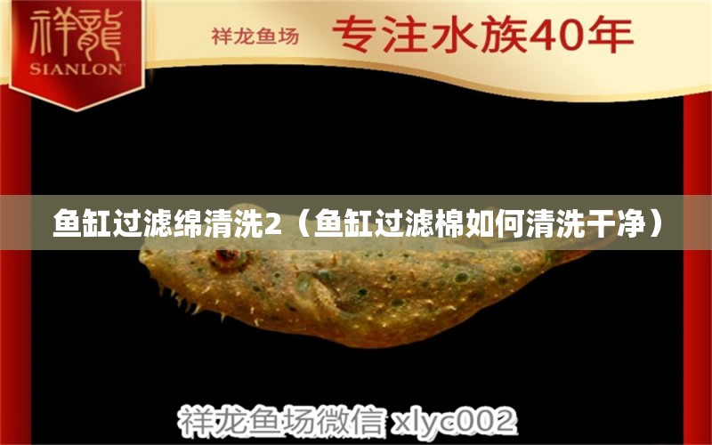 魚缸過(guò)濾綿清洗2（魚缸過(guò)濾棉如何清洗干凈） 泰龐海蓮魚