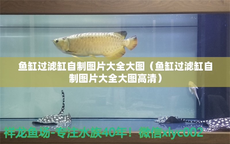 魚缸過濾缸自制圖片大全大圖（魚缸過濾缸自制圖片大全大圖高清） 祥龍魚場