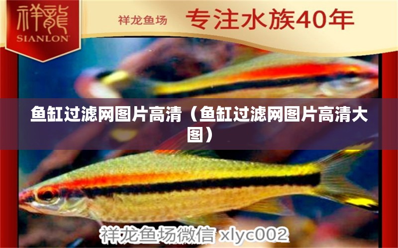 魚缸過濾網(wǎng)圖片高清（魚缸過濾網(wǎng)圖片高清大圖） 祥龍水族醫(yī)院