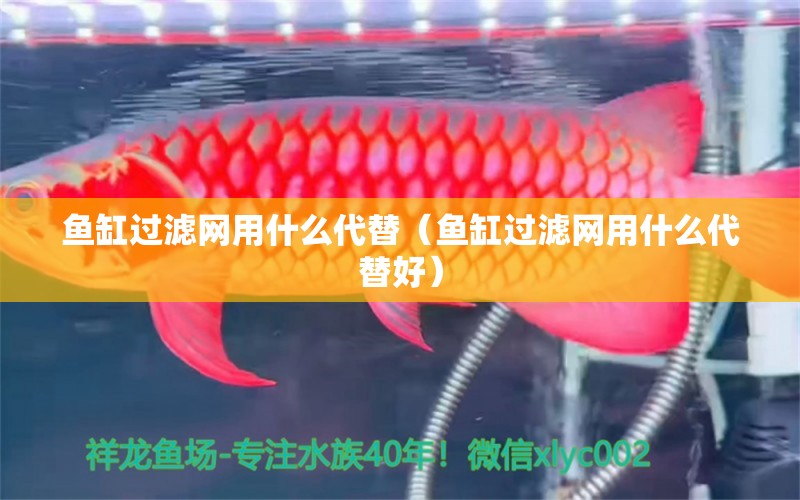 魚缸過濾網(wǎng)用什么代替（魚缸過濾網(wǎng)用什么代替好）