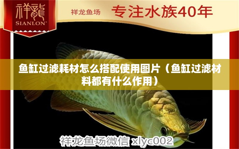 魚缸過濾耗材怎么搭配使用圖片（魚缸過濾材料都有什么作用） 噴點菠蘿魚