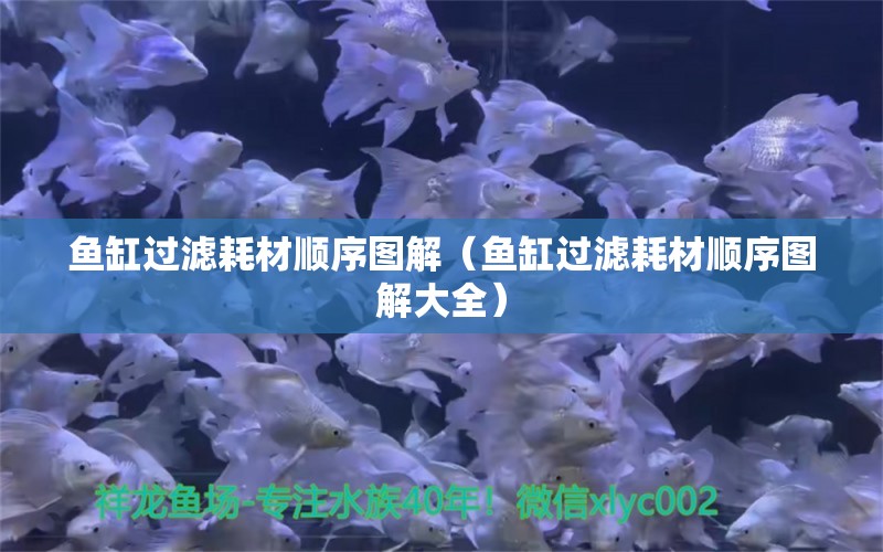 魚缸過濾耗材順序圖解（魚缸過濾耗材順序圖解大全）