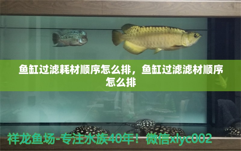 魚缸過濾耗材順序怎么排，魚缸過濾濾材順序怎么排 白子關刀魚