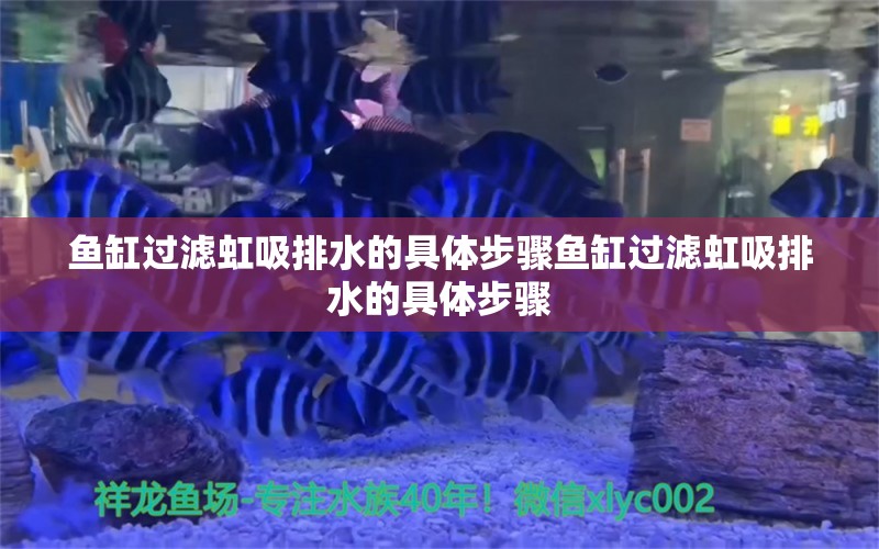 魚缸過濾虹吸排水的具體步驟魚缸過濾虹吸排水的具體步驟