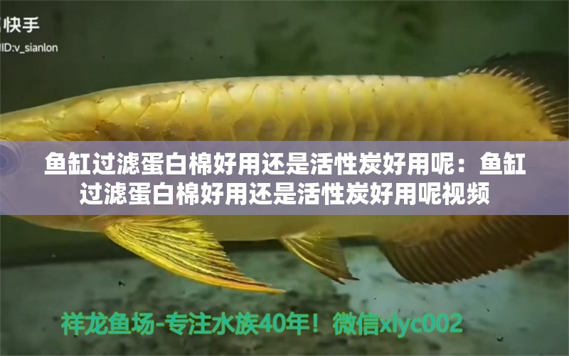 魚缸過濾蛋白棉好用還是活性炭好用呢：魚缸過濾蛋白棉好用還是活性炭好用呢視頻