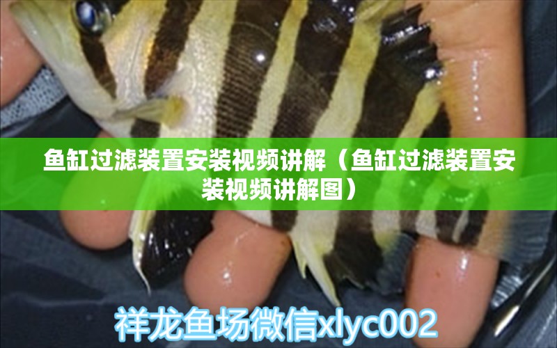 魚缸過濾裝置安裝視頻講解（魚缸過濾裝置安裝視頻講解圖）