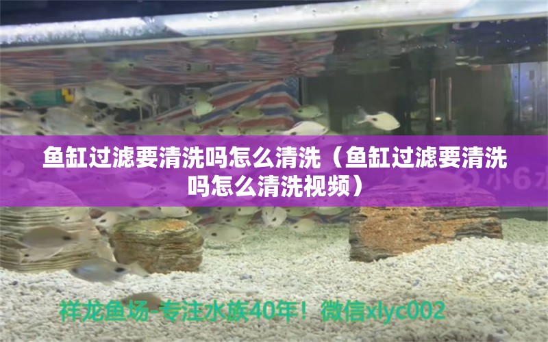 魚缸過濾要清洗嗎怎么清洗（魚缸過濾要清洗嗎怎么清洗視頻） 其他品牌魚缸