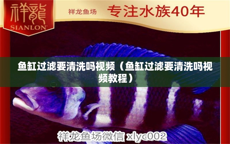 魚(yú)缸過(guò)濾要清洗嗎視頻（魚(yú)缸過(guò)濾要清洗嗎視頻教程） 其他品牌魚(yú)缸