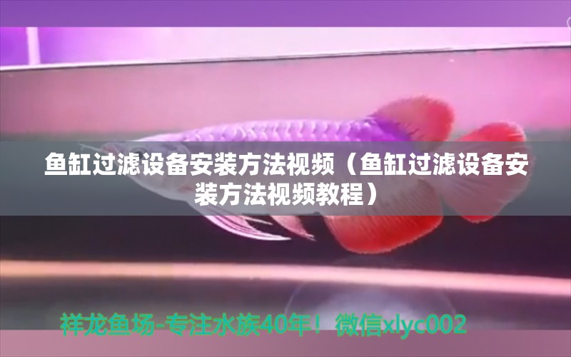 魚缸過濾設備安裝方法視頻（魚缸過濾設備安裝方法視頻教程）