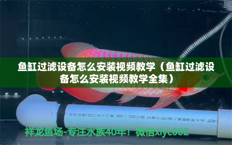 魚缸過濾設備怎么安裝視頻教學（魚缸過濾設備怎么安裝視頻教學全集） 過濾設備