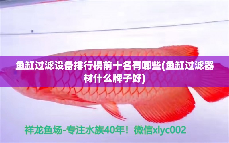 魚缸過濾設(shè)備排行榜前十名有哪些(魚缸過濾器材什么牌子好)