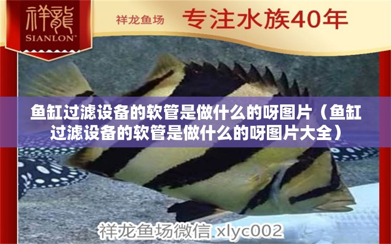 魚(yú)缸過(guò)濾設(shè)備的軟管是做什么的呀圖片（魚(yú)缸過(guò)濾設(shè)備的軟管是做什么的呀圖片大全） 過(guò)濾設(shè)備