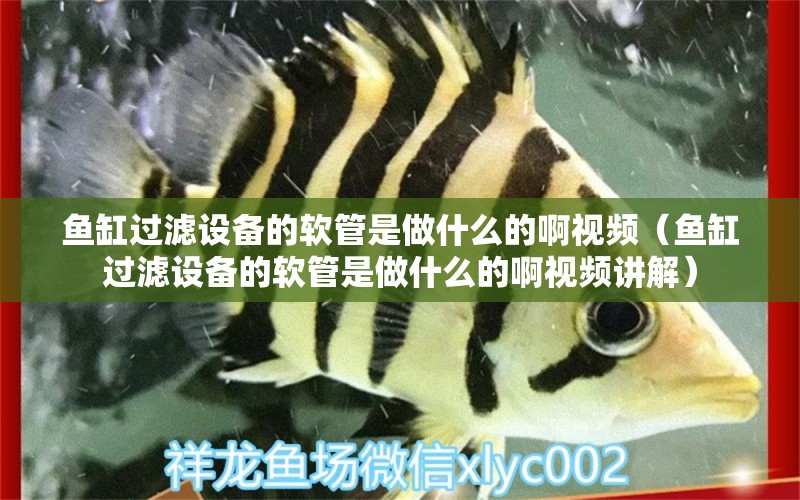 魚(yú)缸過(guò)濾設(shè)備的軟管是做什么的啊視頻（魚(yú)缸過(guò)濾設(shè)備的軟管是做什么的啊視頻講解） 過(guò)濾設(shè)備