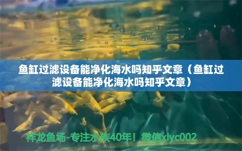 魚缸過濾設備能凈化海水嗎知乎文章（魚缸過濾設備能凈化海水嗎知乎文章）