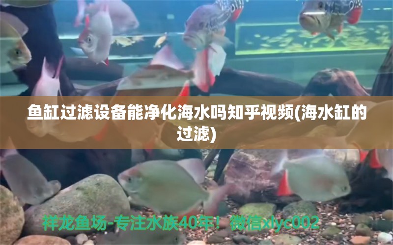 魚缸過濾設(shè)備能凈化海水嗎知乎視頻(海水缸的過濾)