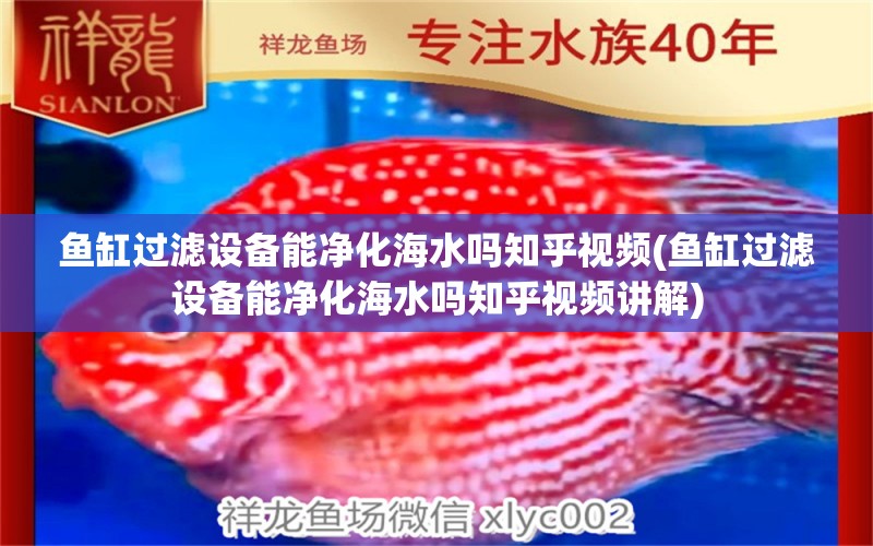 魚缸過濾設(shè)備能凈化海水嗎知乎視頻(魚缸過濾設(shè)備能凈化海水嗎知乎視頻講解)