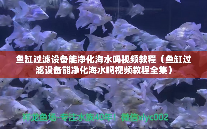 魚缸過濾設(shè)備能凈化海水嗎視頻教程（魚缸過濾設(shè)備能凈化海水嗎視頻教程全集）