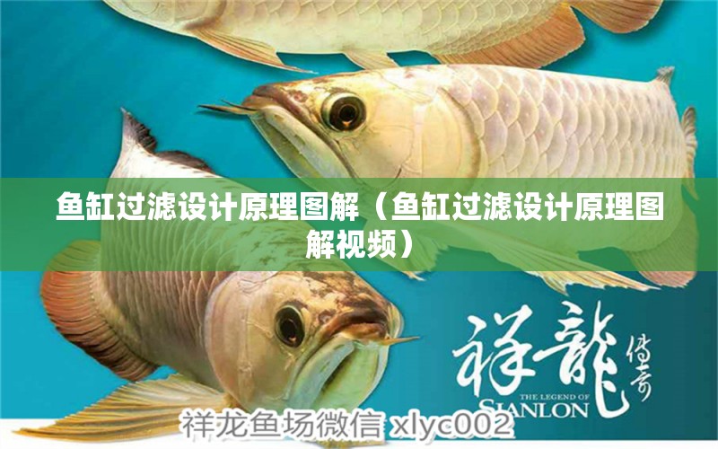 魚缸過濾設計原理圖解（魚缸過濾設計原理圖解視頻）