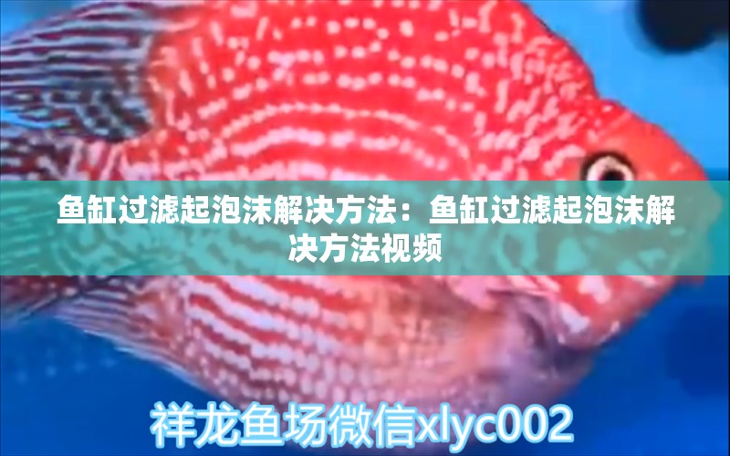 魚缸過濾起泡沫解決方法：魚缸過濾起泡沫解決方法視頻