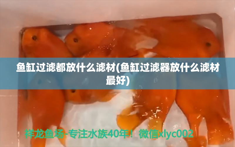 魚缸過濾都放什么濾材(魚缸過濾器放什么濾材最好) 照明器材