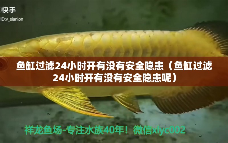 魚(yú)缸過(guò)濾24小時(shí)開(kāi)有沒(méi)有安全隱患（魚(yú)缸過(guò)濾24小時(shí)開(kāi)有沒(méi)有安全隱患呢） 祥龍水族醫(yī)院