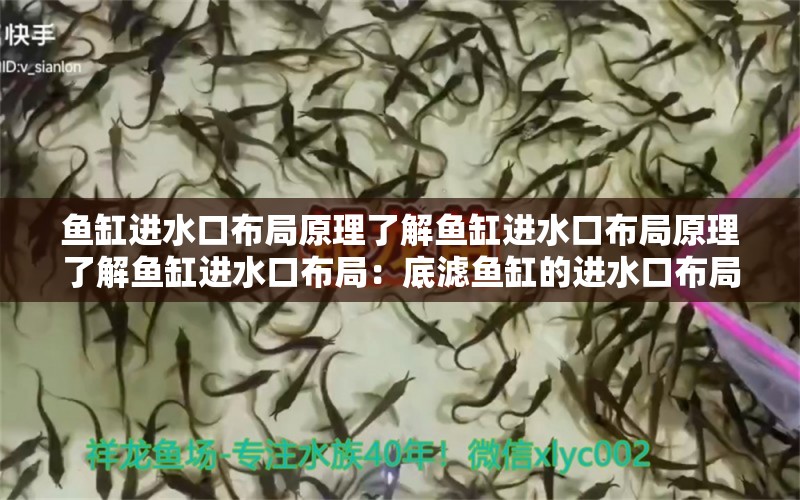 魚缸進(jìn)水口布局原理了解魚缸進(jìn)水口布局原理了解魚缸進(jìn)水口布局：底濾魚缸的進(jìn)水口布局原理 魚缸百科 第2張