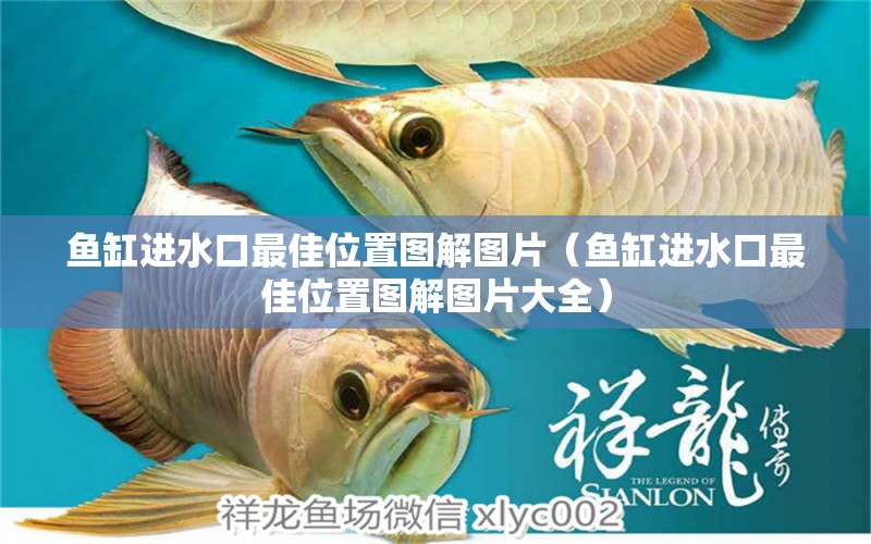 魚(yú)缸進(jìn)水口最佳位置圖解圖片（魚(yú)缸進(jìn)水口最佳位置圖解圖片大全）