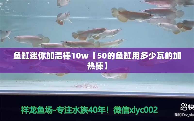 魚缸迷你加溫棒10w【50的魚缸用多少瓦的加熱棒】 龍魚批發(fā)