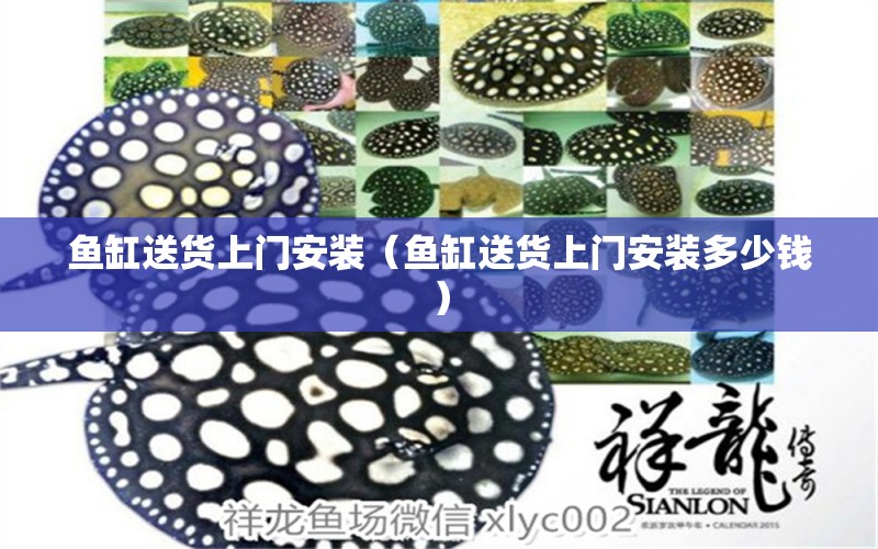 魚缸送貨上門安裝（魚缸送貨上門安裝多少錢） 其他品牌魚缸