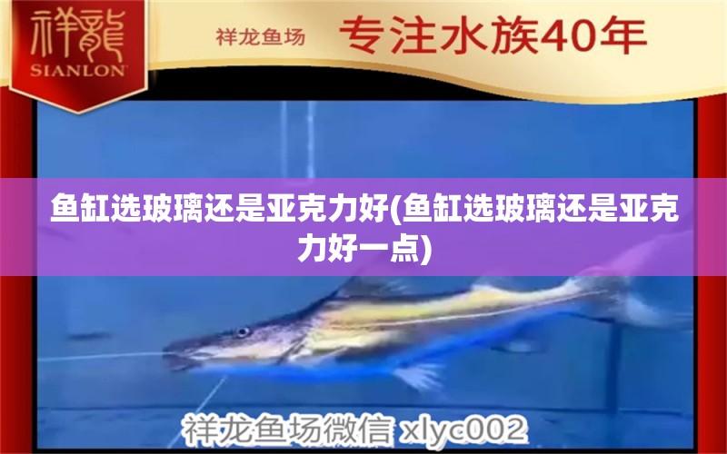 魚缸選玻璃還是亞克力好(魚缸選玻璃還是亞克力好一點(diǎn)) 狗仔（招財(cái)貓)魚苗 第1張