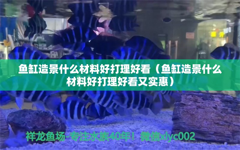 魚缸造景什么材料好打理好看（魚缸造景什么材料好打理好看又實惠） 老魚匠