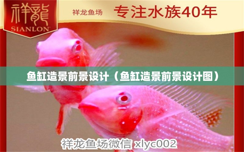 魚(yú)缸造景前景設(shè)計(jì)（魚(yú)缸造景前景設(shè)計(jì)圖） 祥龍水族醫(yī)院